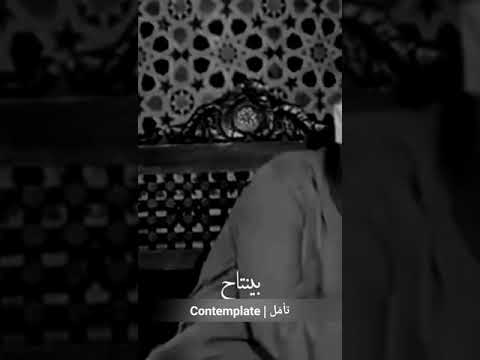 محامي و شاهد و قاضي و منفذ الشيخ الشعراوي رحمه الله