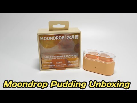 Moondrop Pudding Unboxing & Hand's On Quick Review | A Real $50 ANC Earbuds!