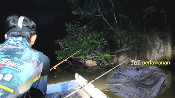 LAGI DAN LAGI!!! Umpan nenek moyang menjadi andalan mancing ikan baung geso saat air pasang