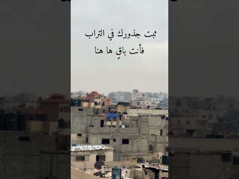 ثبت جذورك في التراب فأنت باق ها هنا 2025 اكسبلور دويتو لايك فلسطين ثبت جذورك