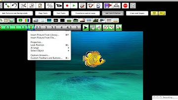 Animation in Classroom Suite 4