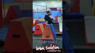 Thief Vault