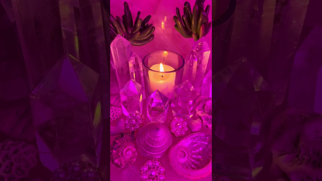 Ur Helping Expose Evil Ring Winning a Court Case involving Land/Property/Assets ⚖️