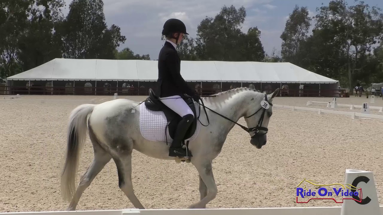 downs sims 038D Sasha Cohn on Stormin' Norman JR Beginner Novice Dressage Galway Downs May 2019
