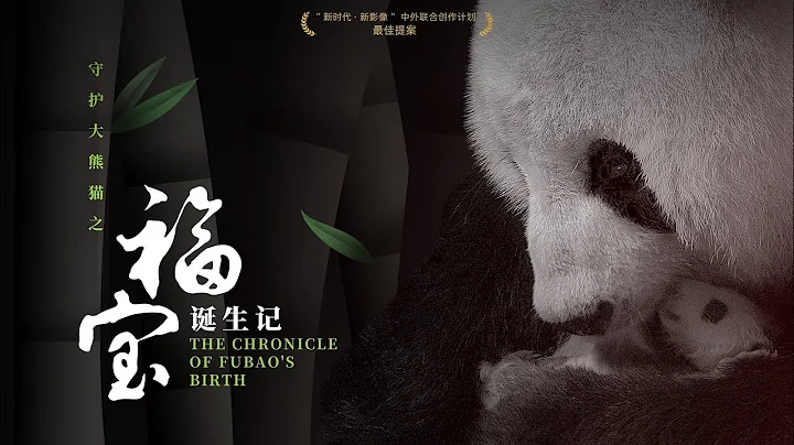 《守護大熊貓之福寶誕生記 Guardians Of The Panda - The Chronicle of FuBao's Birth》 - 天天要聞