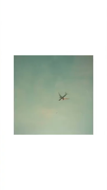 how my FIRST 35mm film photos turned out (olympus mju zoom deluxe | kodak blue 400)
