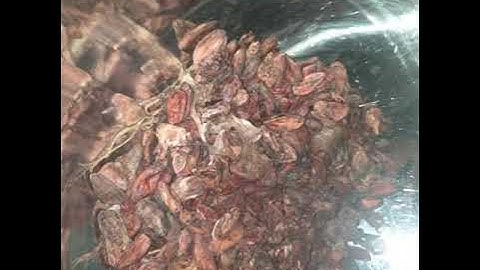 SORTING OF CACAO BEANS BEFORE ROASTING| SOMETHING TO LEARN ABOUT CHOCOLATE MAKING