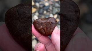 Finding the perfect ♥️ Rock for someone I love #shortsvideo #shortsfeed #naturetherapy #heartrock