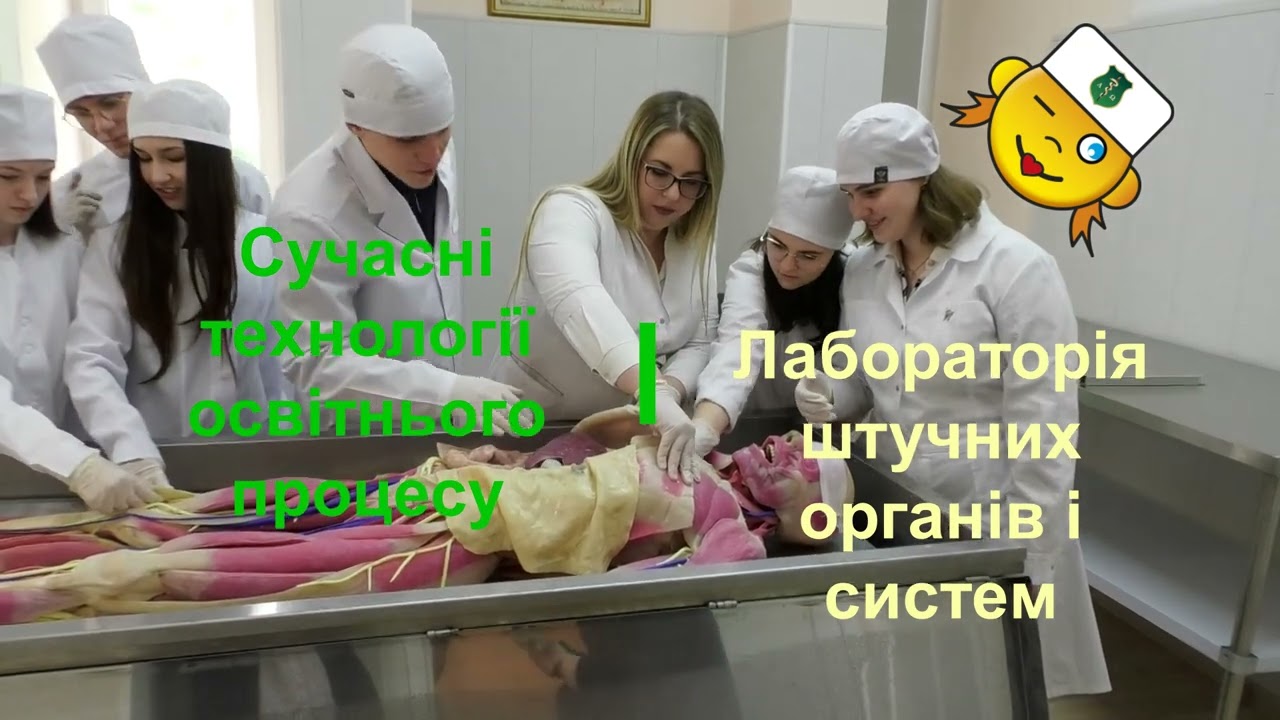 ХНМУ   навчаємо кращих