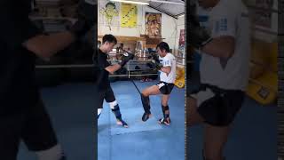 2020110102 toellgym.com
