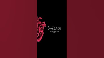 وعسى أن تكرهوا شيئاً وهو خير لكم | القارئ مشاري العفاسي | قرآن كريم ..♡