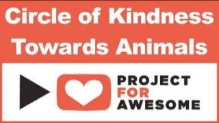 P4A 2010 - Circle of Kindness Towards Animals
