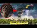 Drone catches TORNADO TRYPHOBIA DESTROYING A CITY in REAL LIFE!