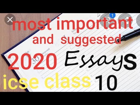 essays 10 class