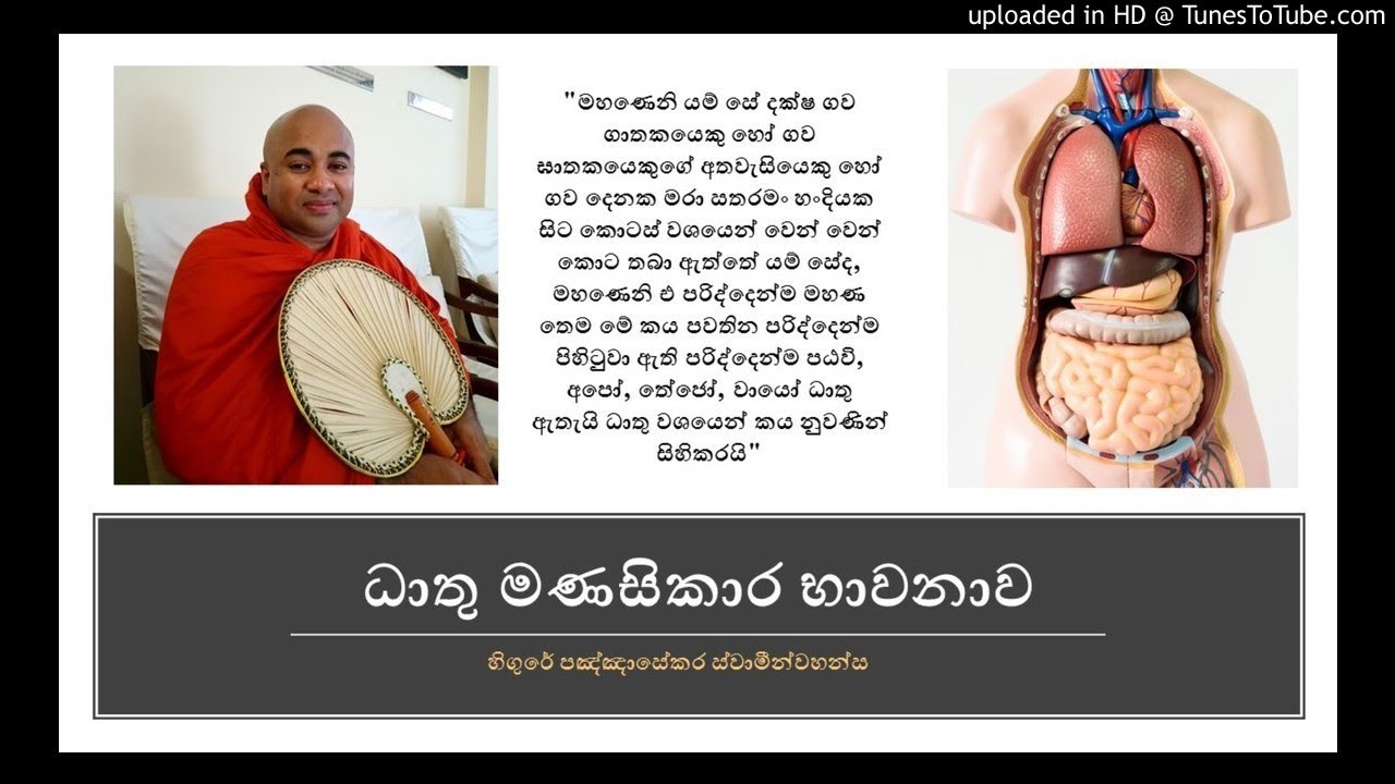 ධාතු මණසිකාර භාවනාව  හිගුරේ පඤ්ඤාසේකර  ස්වාමින්වහන්ස (Meditation-Dhaathu manasikara)
