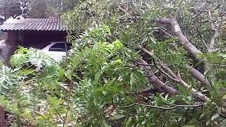 OCKHI CYCLONE IN KANYAKUMARI | OCKHI CYCLONE | CYCLONE | BAY OF BENGAL | KANYAKUMARI