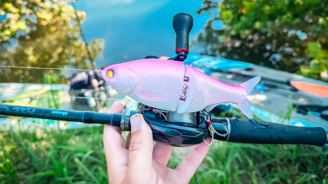 SWIMBAIT fishing for SCHOOLING BASS!