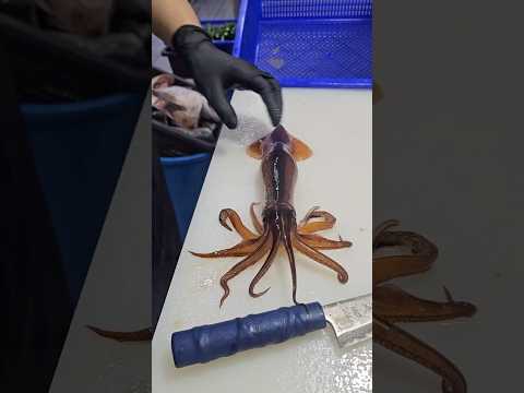 We get shown how to make the freshest squid salad ever! 🦑🤯 With @bianjinghu770128