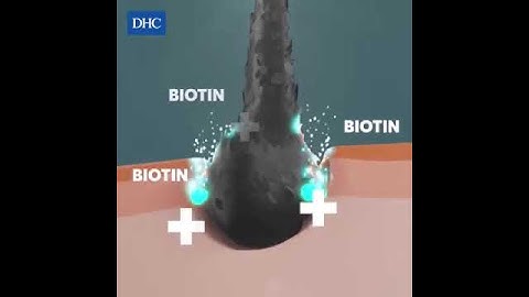 Viên uống giảm rụng tóc, kích thích mọc tóc DHC Biotin Nhật Bản