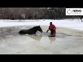 Firefighters free horse from icy Texas pond