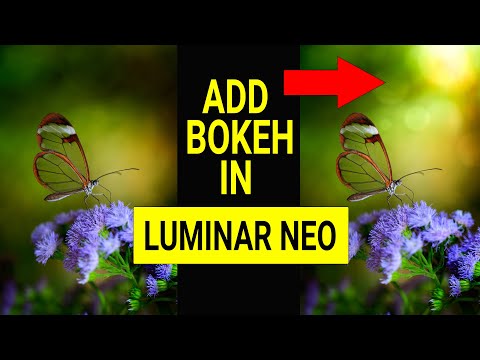 Luminar Neo. How