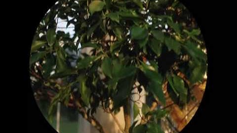 Pink Floyd - Shine On You Crazy Diamond (Screen Film).avi