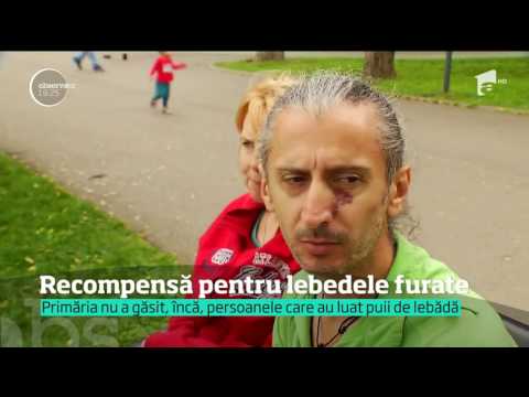 Video: Primăria Ca Parte A Parcului