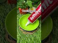 🌿 Say Goodbye to Warts – Quick &amp; Painless! 🌿 Remove Warts Naturally at Home  #WartRemoval #ytshorts