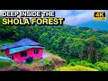 Mud house stay deep in the shola forest  pampadum shola national park  4k u.
