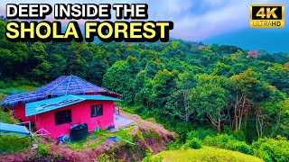 Mud House Stay Deep in The Shola Forest | Pampadum Shola National Park | 4K UHD