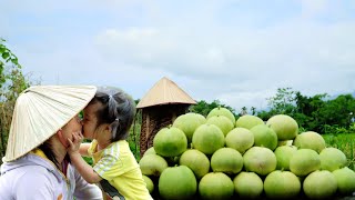 จิตวิญญาณชนบทอันเงียบสงบ: สนุกกับการเก็บเกี่ยวแตงและอาหารจากวัตถุดิบที่ปลูกเอง