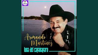 Video thumbnail of "Armando Martínez - Canto a Caracas"