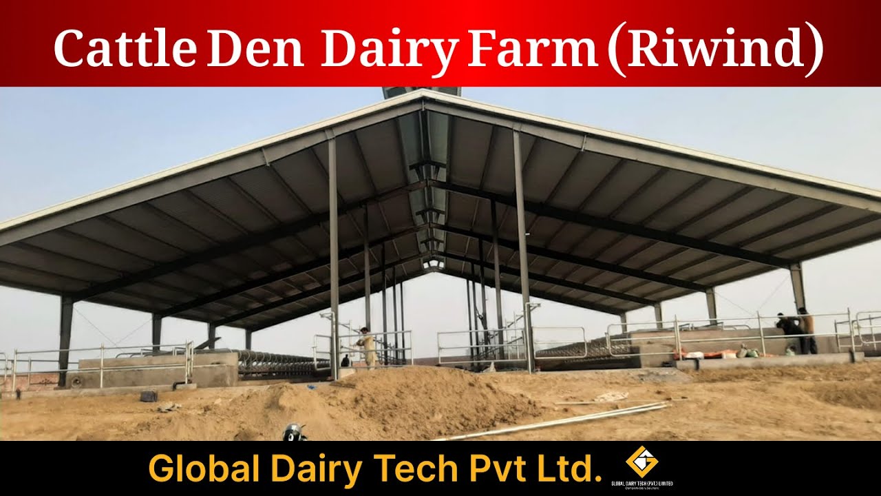 Cattle Den Dairy Farm (Riwind) Completed Project By Global Dairy Tech ...