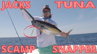 Slow Pitch Jigging Catches EVERYTHING!! | Fishing 60+ Miles Offshore Dauphin Island