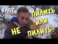 ВЛОГ: Готовь сани летом!) Едем щедровать.