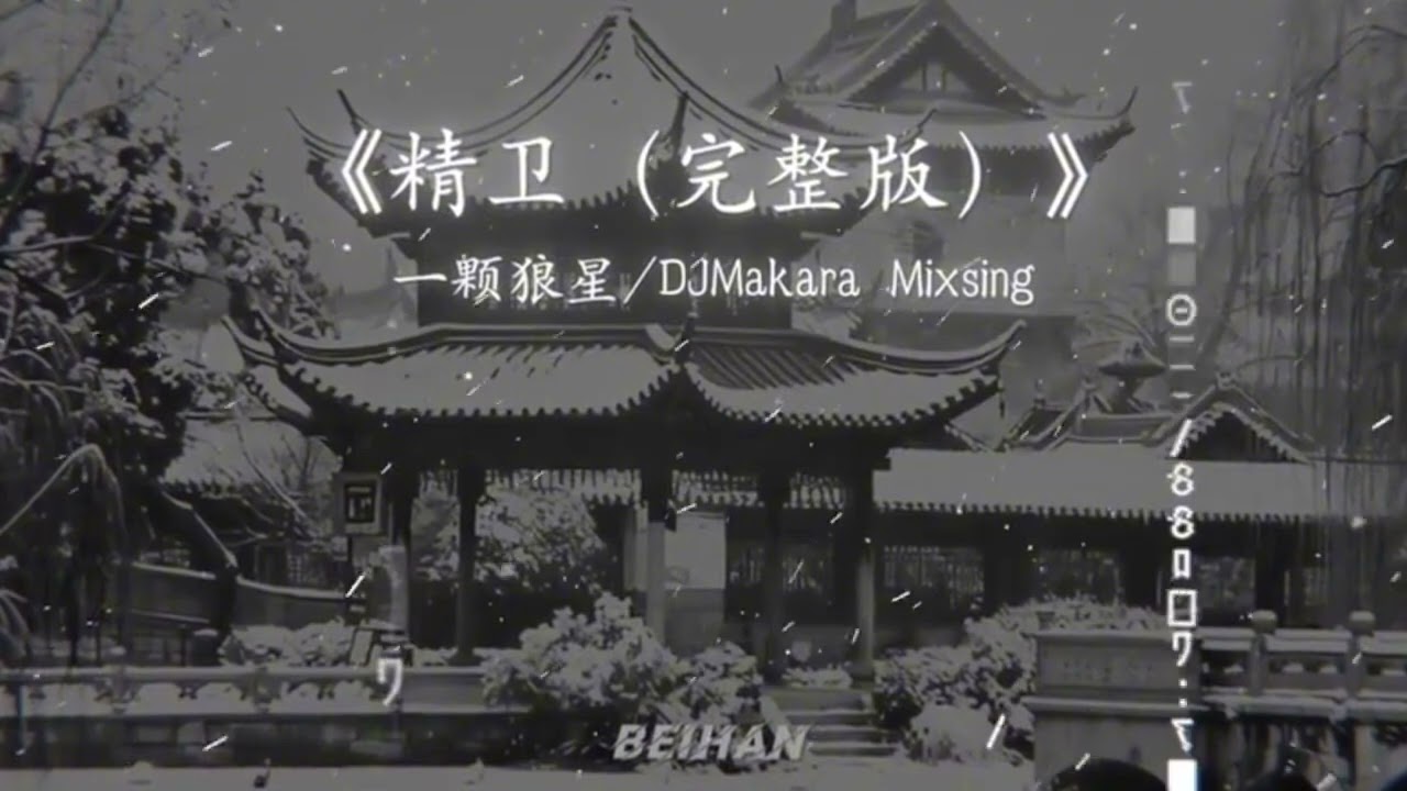 Tinh Vệ remix 精卫 remix 