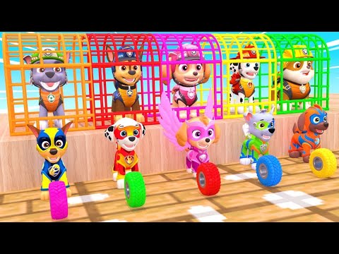 PAW Patrol Guess The Right Door ESCAPE ROOM CHALLENGE Animals Tire Game Cow Mammoth Elephant Tiger
