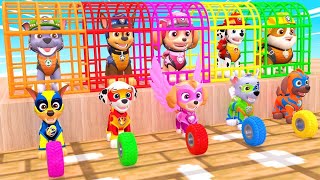 PAW Patrol Guess The Right Door ESCAPE ROOM CHALLENGE Animals Tire Game Cow Mammoth Elephant Tiger screenshot 4