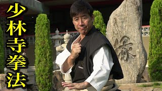 これが少林寺拳法の世界だ！【少林寺拳法 未来への宝物】予告編 What is Shorinji Kempo? This is Shorinji Kempo!