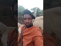 HELENI MANHE MSAMBAZAJI 