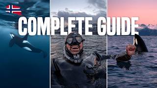 Swimming With Wild Orcas in Norway — Day Trip or Liveaboard?