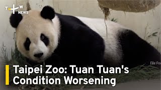 Taipei Zoo Says Panda Tuan Tuans Condition Getting Worse Taiwanplus News