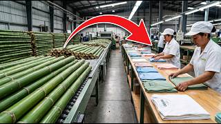 How BAMBOO Fiber Becomes Luxurious, Soft CLOTHING ! Full Factory Process screenshot 4