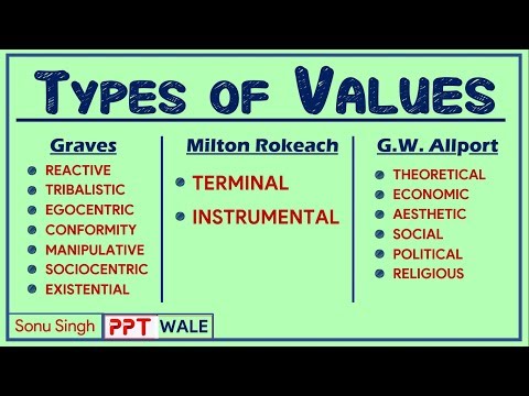 Vídeo: O que são valores terminais e instrumentais?