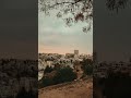 الناس في عيني حاجه وانت حاجه تانيه محمد حماقي حالات واتس اب