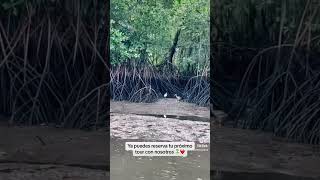 Increíble Isla El Espíritu Santo ❤️