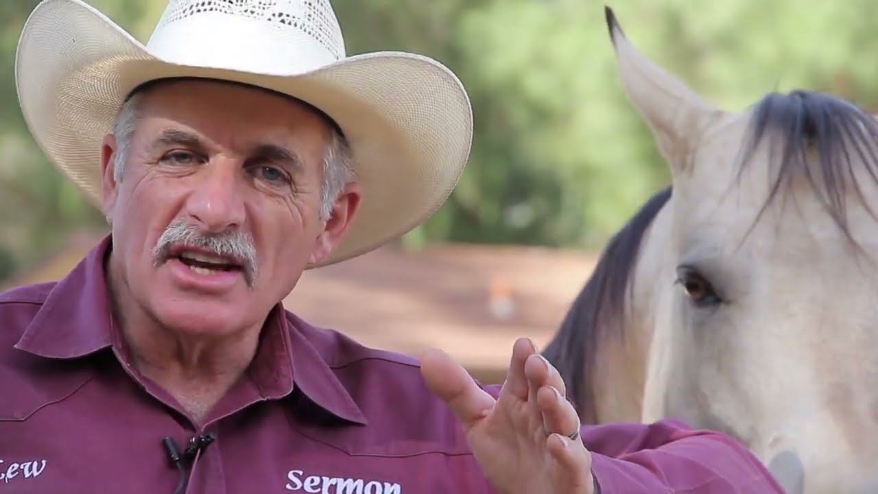 Sermon on the "Mount"