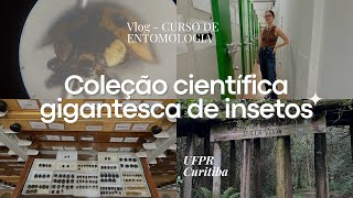 Últimos dias do curso de entomologia - vlog || Giulia Della