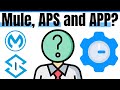[1 Min Game Changer] Mule,  APS and APP.. What's the difference in all these?  🤷🏻‍♂️