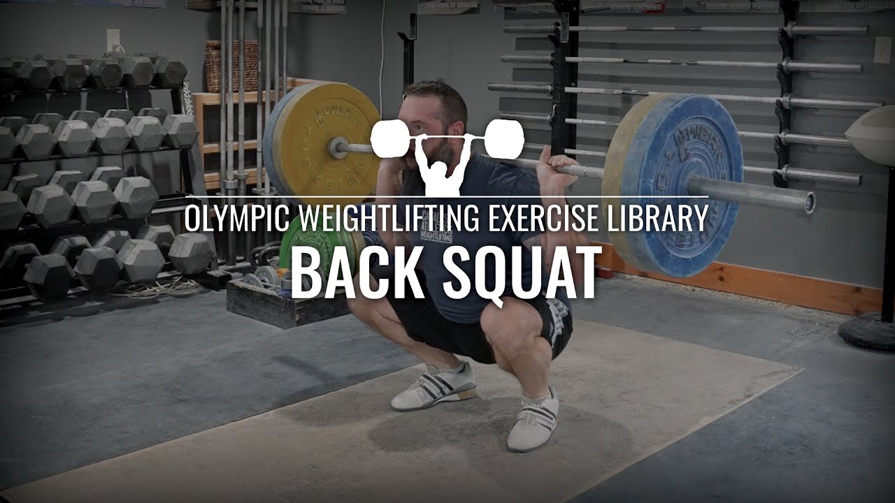 Back Squat - Olympic Weightlifting Exercise Library: Demo Videos